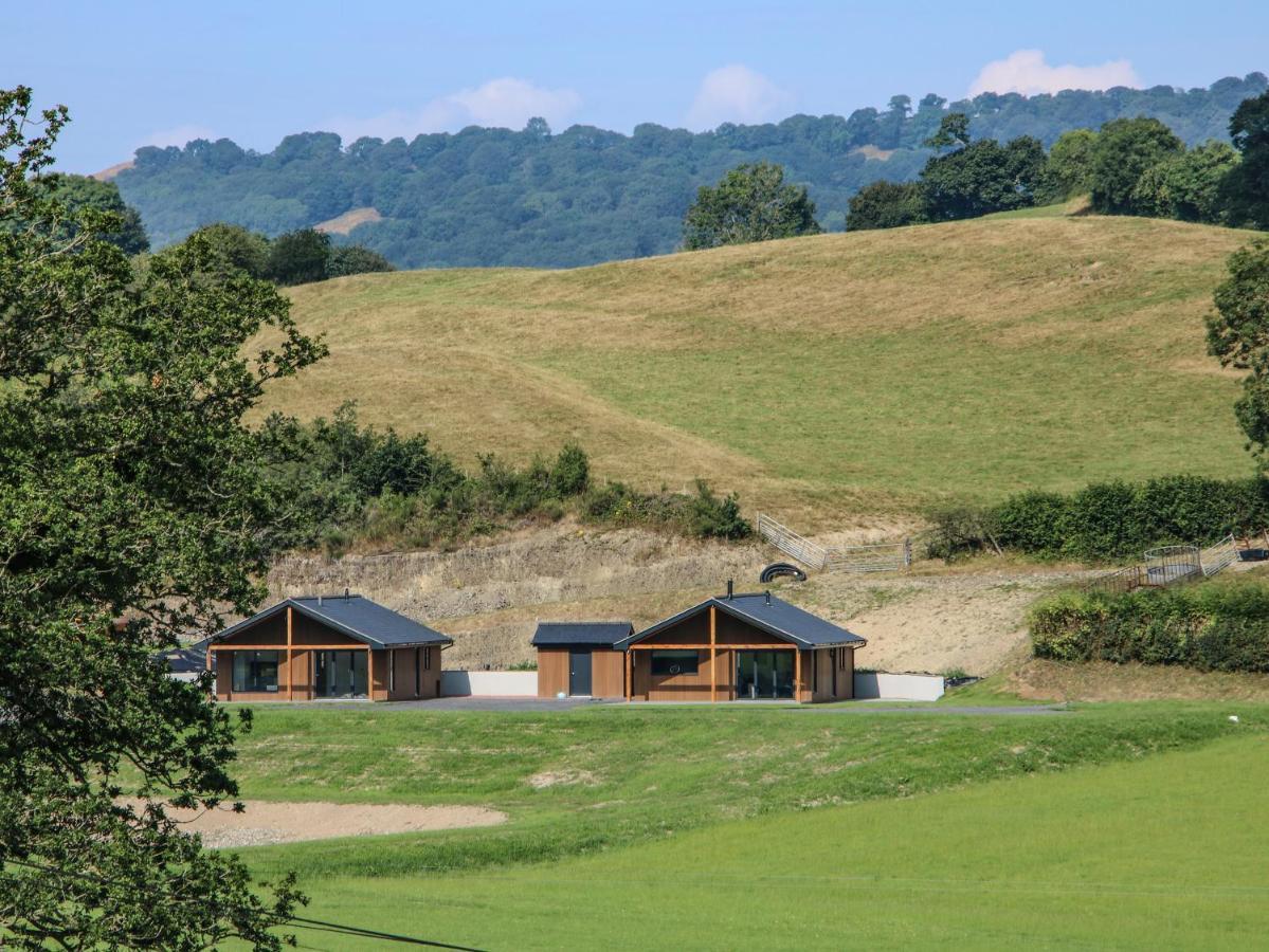 Meadow View Villa Meifod Luaran gambar